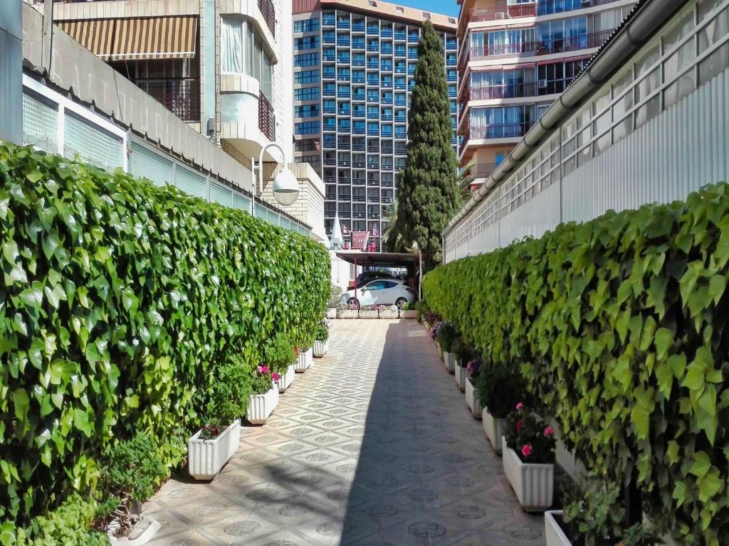 Marques de la Conquista, Benidorm – Updated 2023 Prices