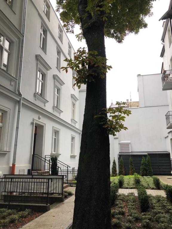 MaPartments Kraków Kazimierz, آژانس هواپیمایی آسمان سپید