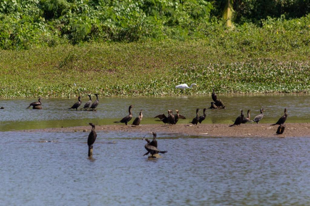  Pousada Rio Paraty