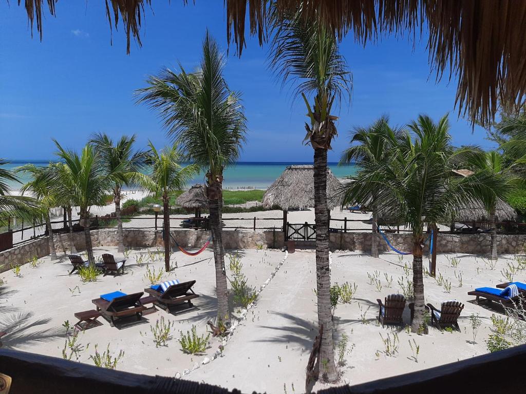 a beach with palm trees and palm trees at Beach Guesthouse Holbox Apartments & Suites in Holbox Island