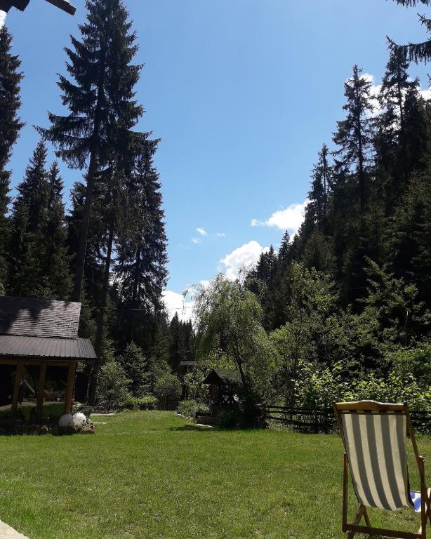 Příroda nedaleko chaty