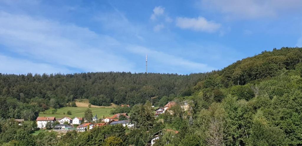 Příroda nedaleko apartmánu