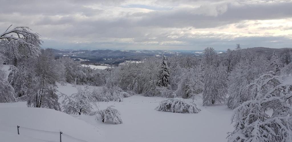 Ferienwohnung Urlaub mit Aussicht v zimě