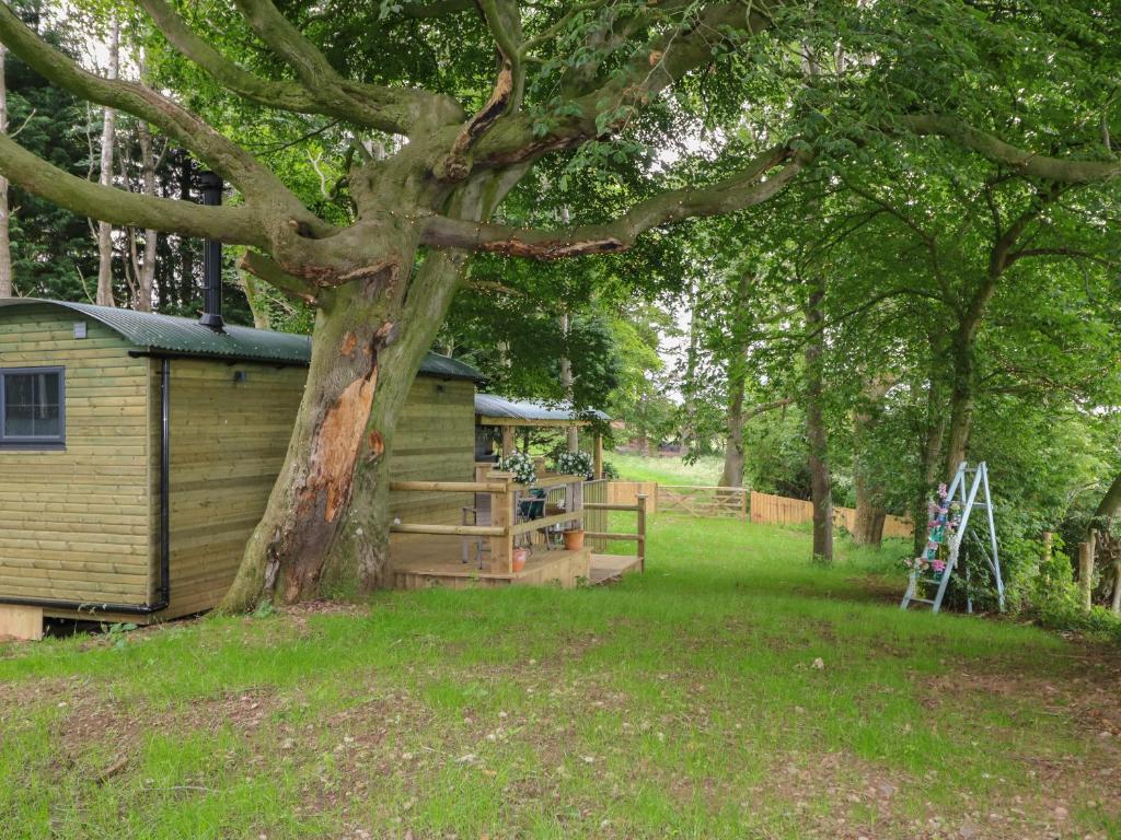 a large tree next to a wooden house at High Rigg Shepherd's Hideaway in Brampton