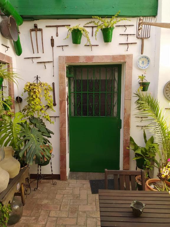 Fotografie z fotogalerie ubytování Casa Museo Jerez Centro v destinaci Jerez de la Frontera