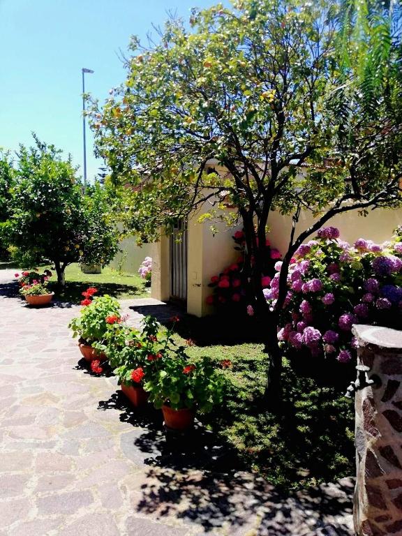 Ogród w obiekcie A casa di Iole