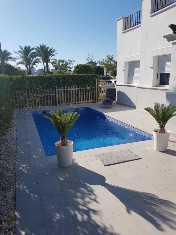 a swimming pool with two palm trees next to a house at Villa mit privatem Pool, zentrumsnah in Roldán