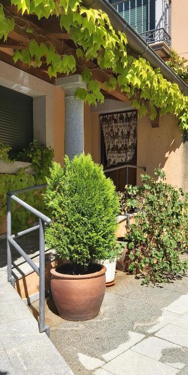 Vonkajšia záhrada v ubytovaní Casa del Portalón