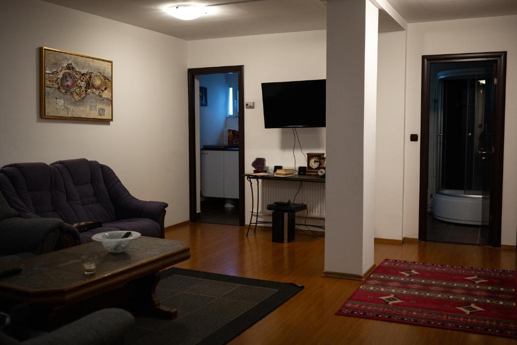 a living room with a couch and a tv at Viking Apartment Grigo in Cluj-Napoca