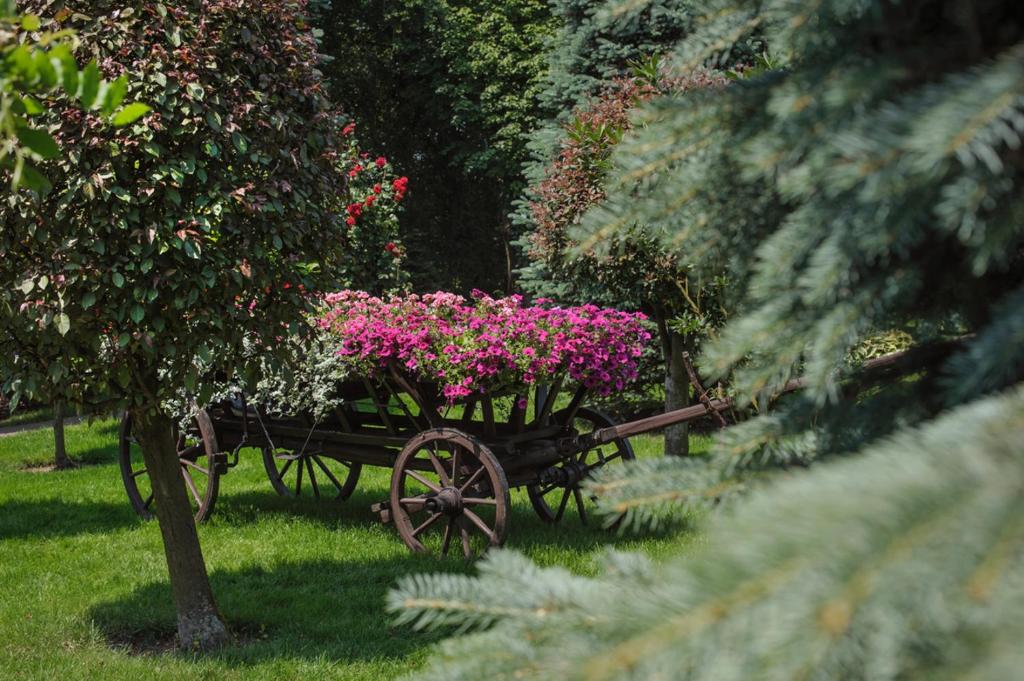 Booking Hotel & Spa - Resim 18