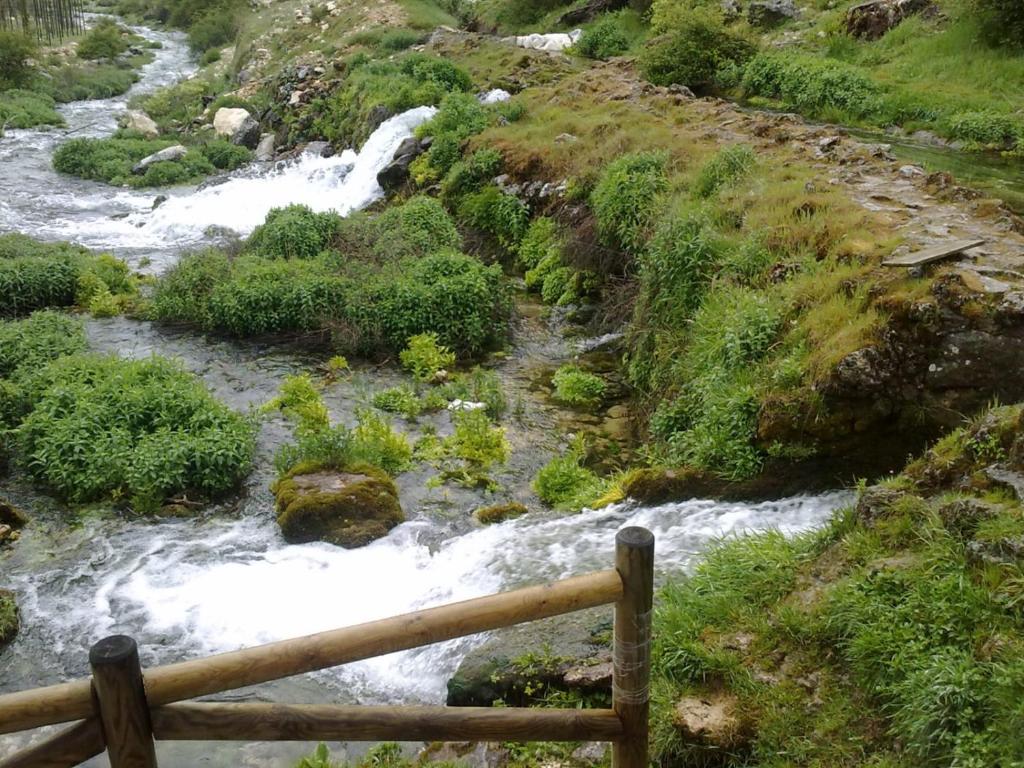 Príroda v okolí apartmánu