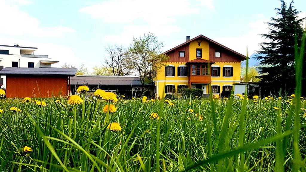 um campo de flores amarelas em frente a uma casa em Ferienwohnung Sonnwendhof "Kellerjochblick" em Schwaz