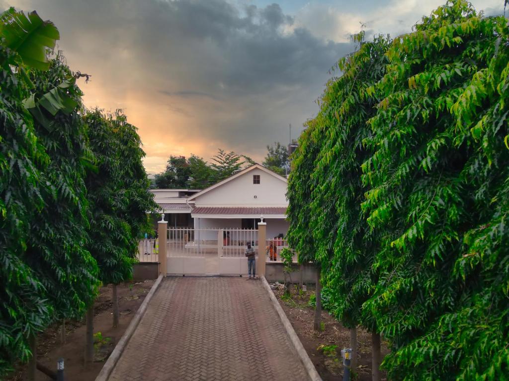 dom pomiędzy dwoma dużymi drzewami z podjazdem w obiekcie Kilimanjaro Lyimo's Country House2 w mieście Moshi