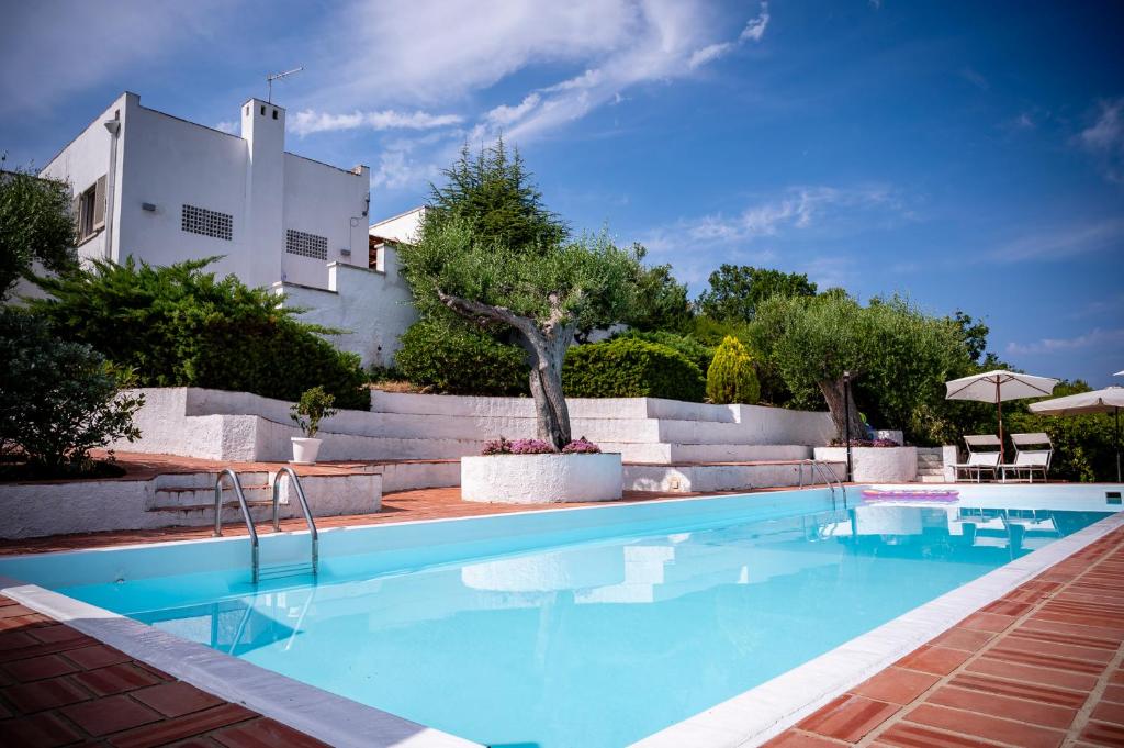 Gallery image of B&B Casabianca Palinuro in Palinuro