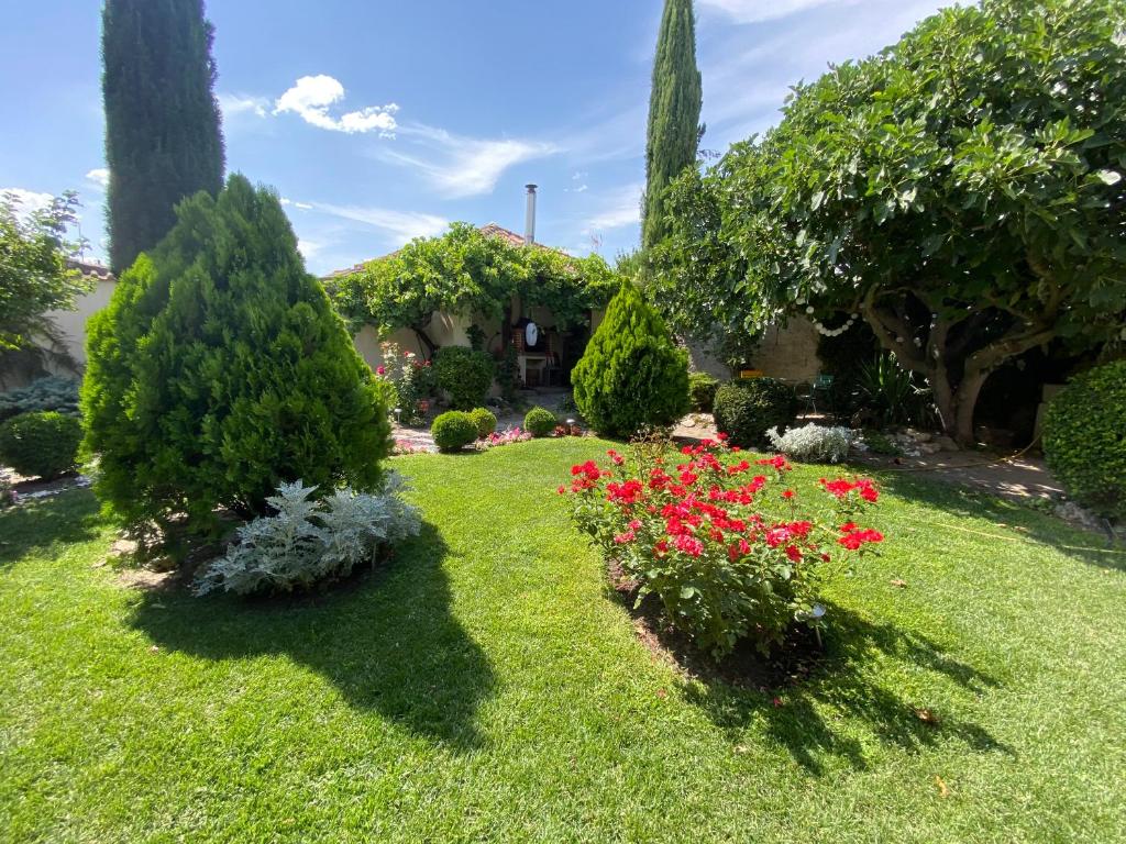 a garden with red flowers and trees and bushes at Casa Jardín El Arco in Coca