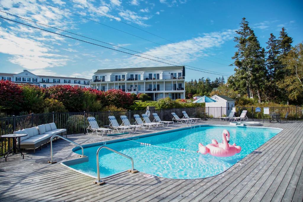 紹斯波特的住宿－Newagen Seaside Inn，水中有两个粉红色火烈鸟的游泳池
