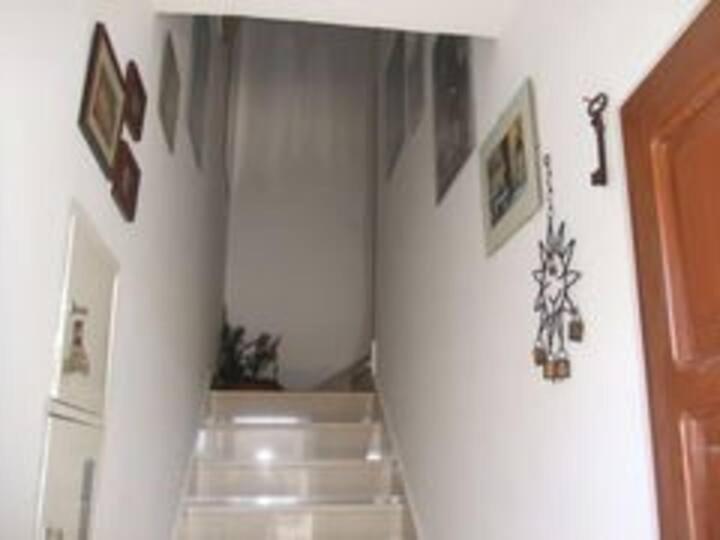 Fotografie z fotogalerie ubytování Apartment Biljana v destinaci Bol