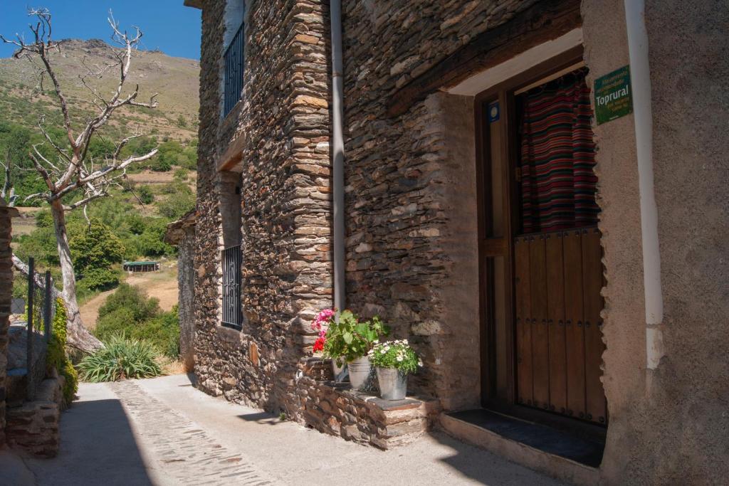 a stone building with a door and potted flowers at Casa-Huerto La Juana in Trevélez