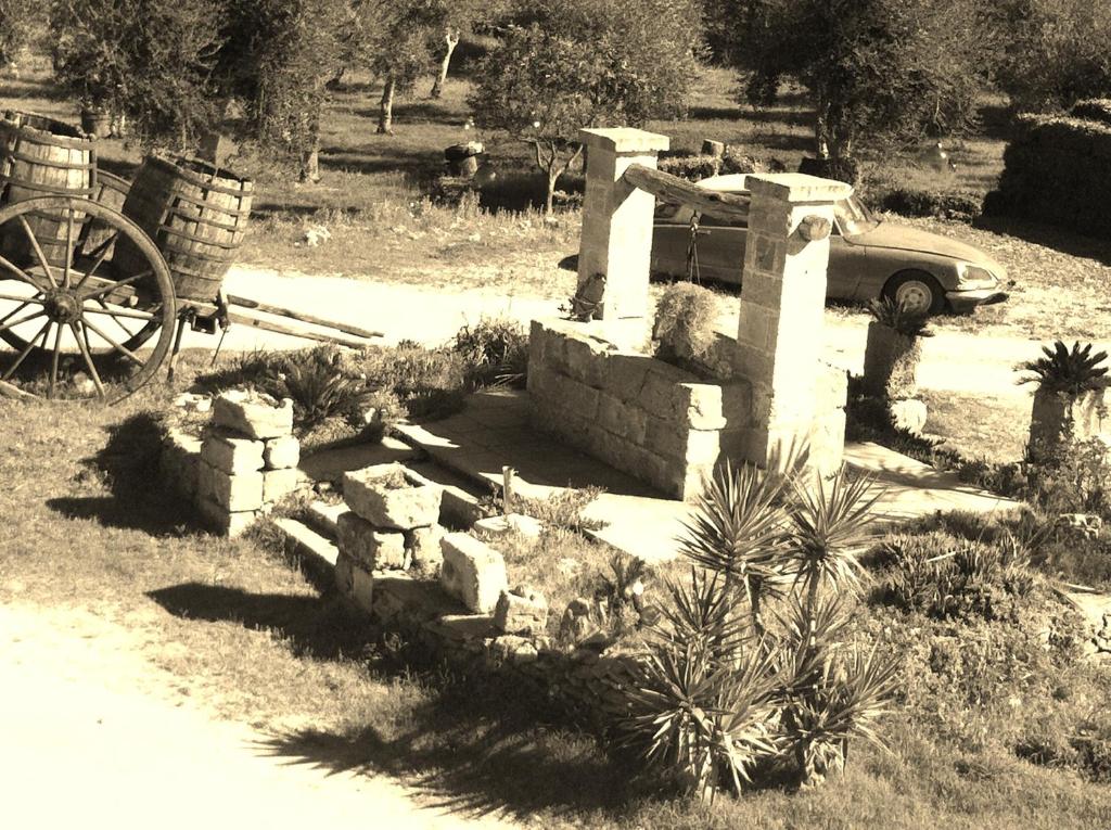 Zahrada ubytování Agriturismo La Crianza
