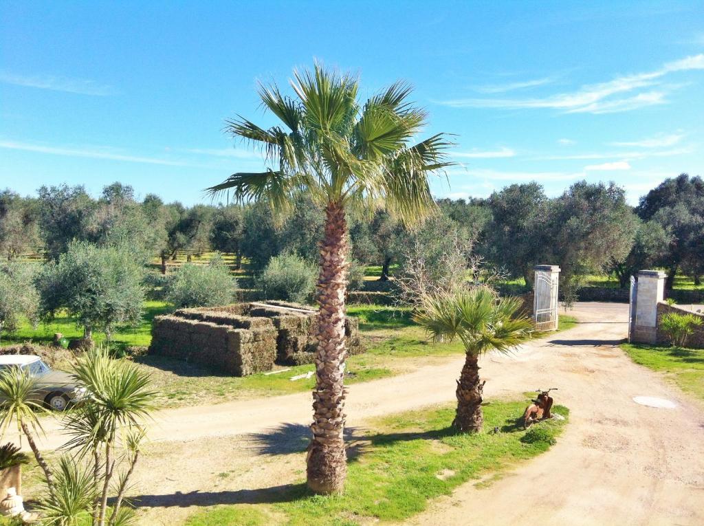 Zahrada ubytování Agriturismo La Crianza