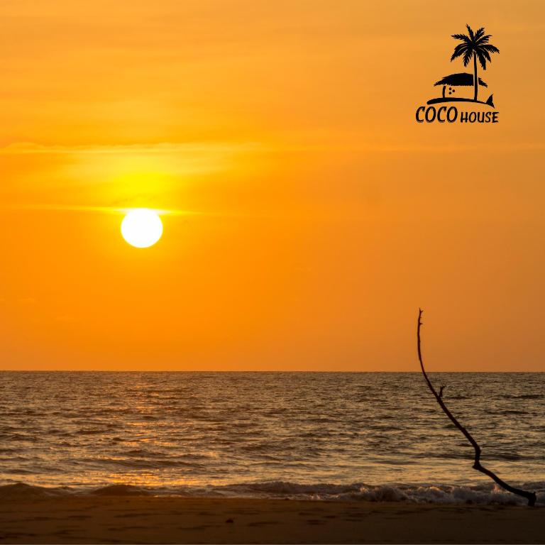 a sunset on the beach with a palm tree at Coco House - Playa La Barra in Buenaventura