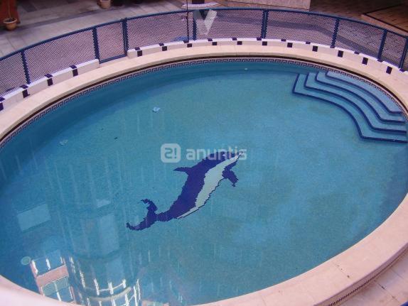 een zwembad met aigators reflectie in het water bij Apartamento en Torrevieja a 50m playa in Torrevieja