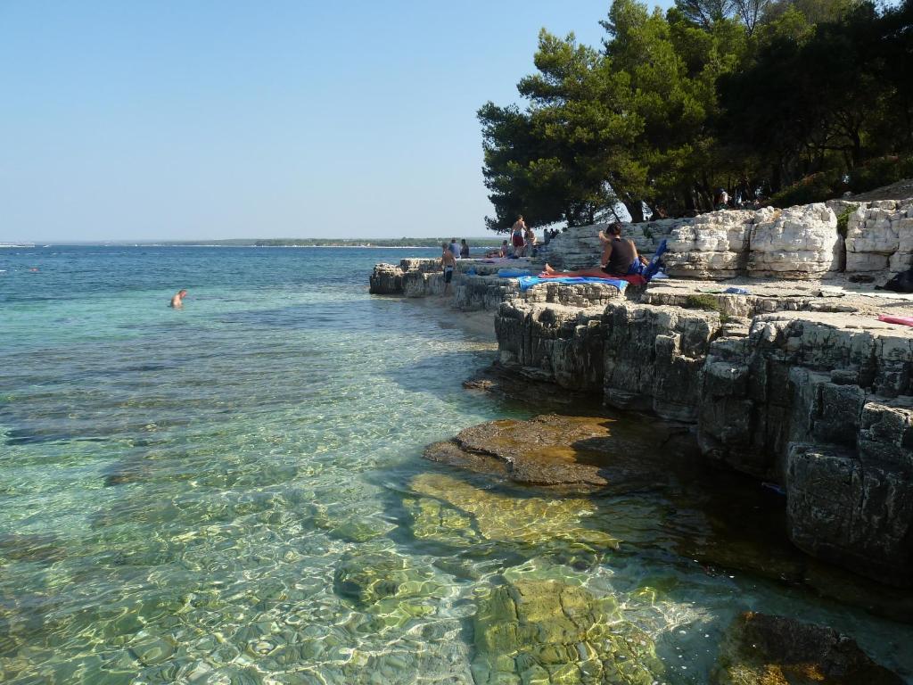 Příroda nedaleko prázdninového areálu