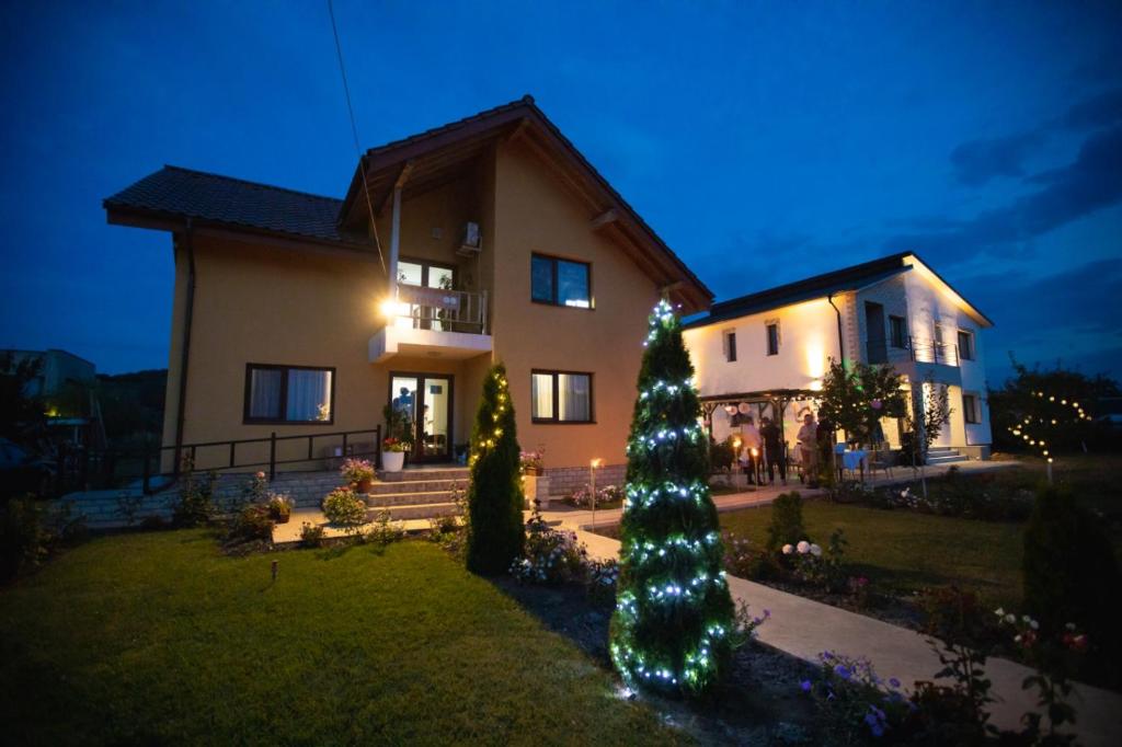 a christmas tree in front of a house at night at Pensiunea Diana in Stroe Beloescu
