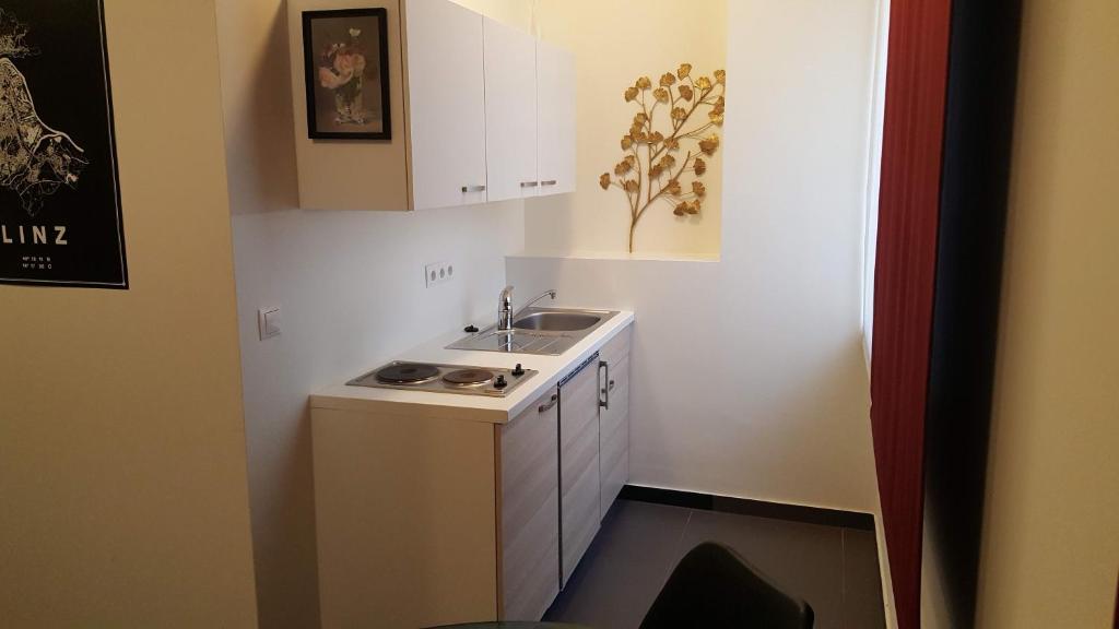 City Center Apartments Linz - Resim 8