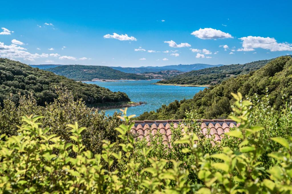 a view of a river from a hill with trees at Hotel Aldiola Country Resort in Sant Antonio Di Gallura