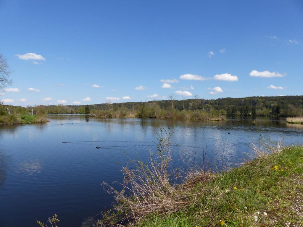 Blick auf einen See mit Bäumen im Hintergrund in der Unterkunft Ferienhof Settele in Bad Wörishofen