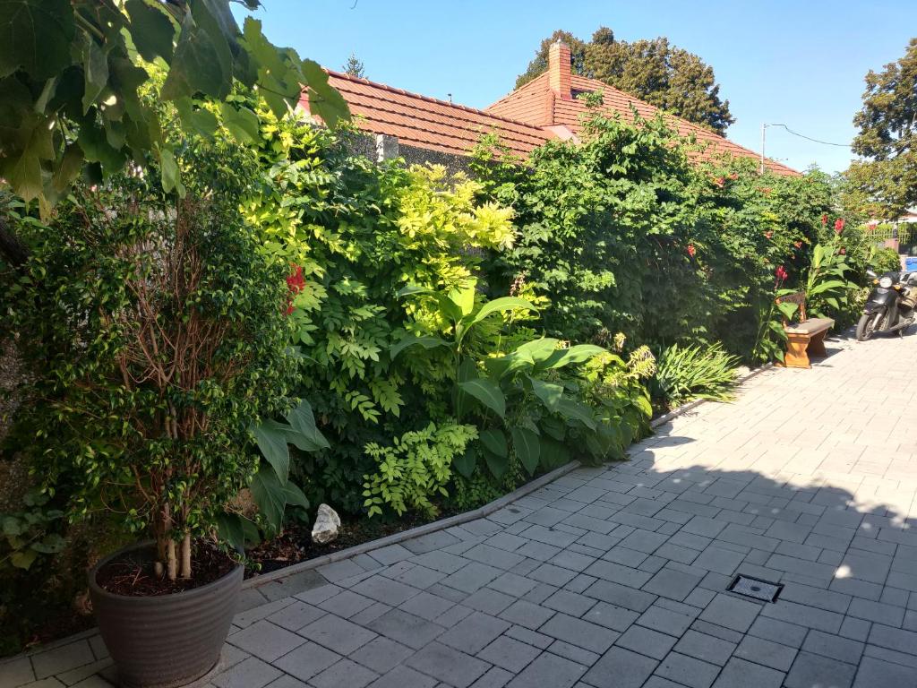 Vonkajšia záhrada v ubytovaní Pension Nest - Family Apartman