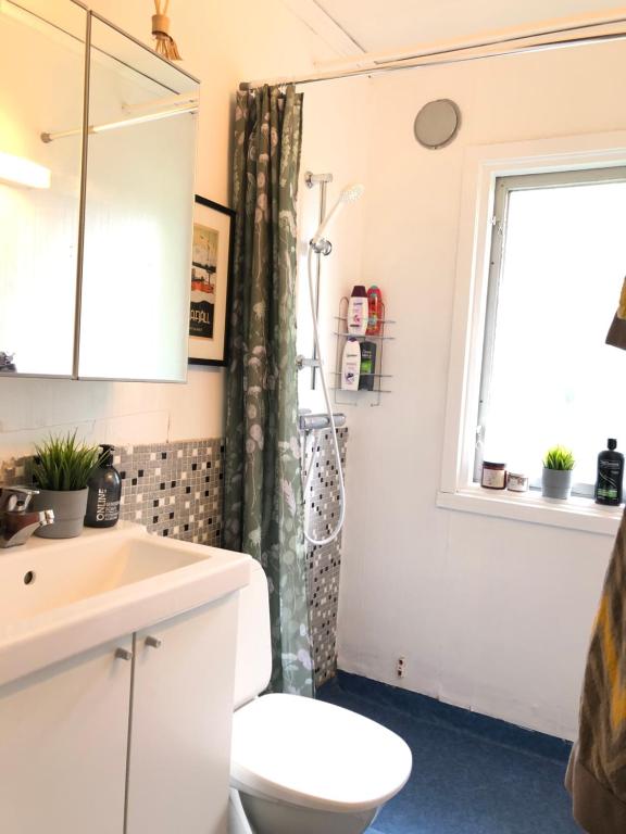 La salle de bains est pourvue d'un lavabo, de toilettes et d'une fenêtre. dans l'établissement Boka Borgafjäll, à Borgafjäll