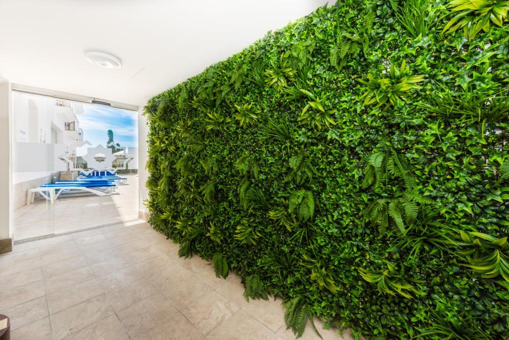 a wall covered in green plants in a living room at Toboso Apar - Turis in Nerja