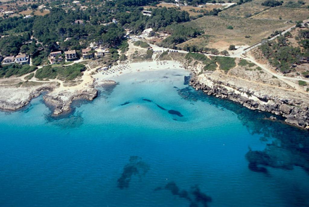 Príroda v okolí vily