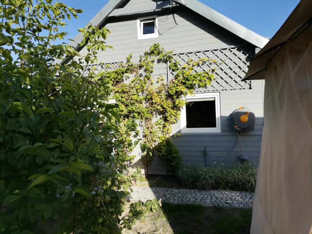 Apartament Wolin nad wodą koło Miedzyzrdrojów - Housity