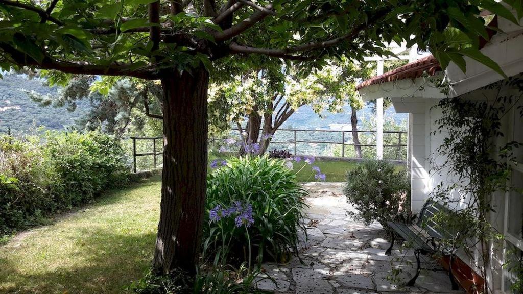 Ogród w obiekcie Deliziosa casetta con dehor e giardino immersa nel verde Ligure