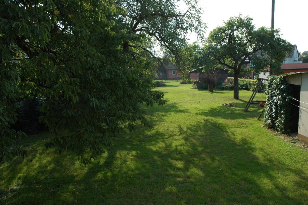 um quintal com relva verde e árvores e uma casa em Südeifel Badem em Badem