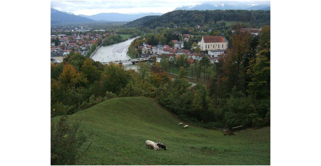 Příroda nedaleko hotelu