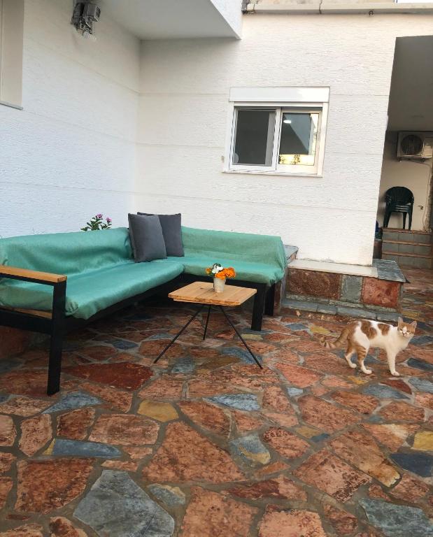 Hišni ljubljenčki, ki bivajo z gosti v nastanitvi Seana Villa
