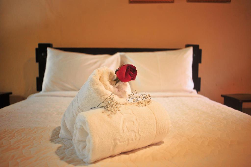  Pousada Villa das Pedras