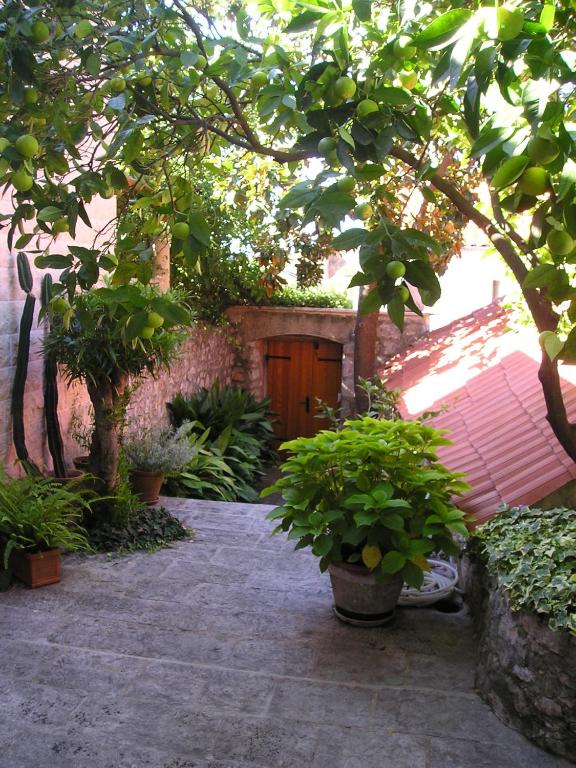 a garden with potted plants and a wooden door at Villa Magnolia in Cavtat