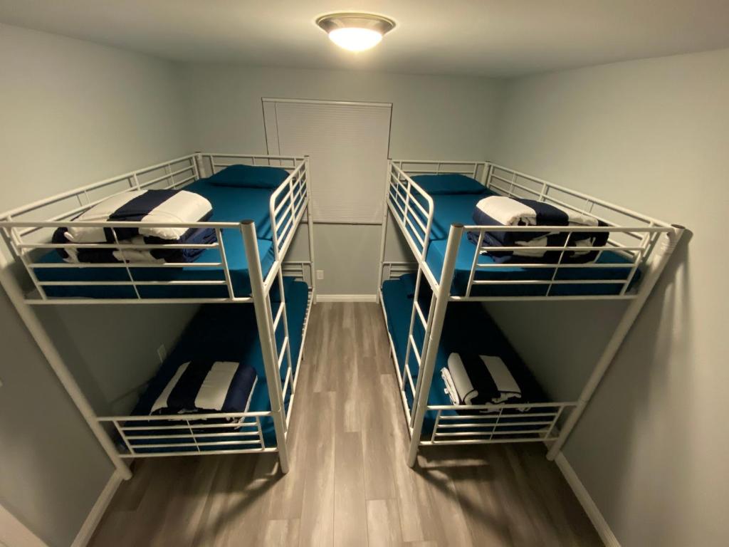 two bunk beds in a room with blue beds at Modern Hostel in Los Angeles