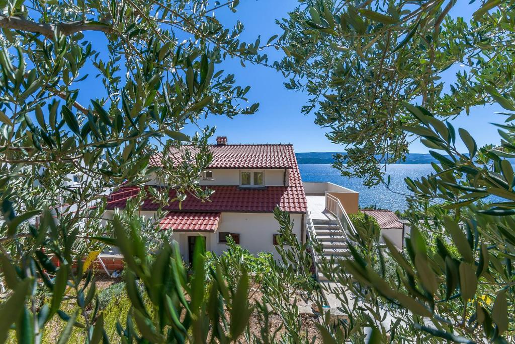 Príroda v okolí apartmánu