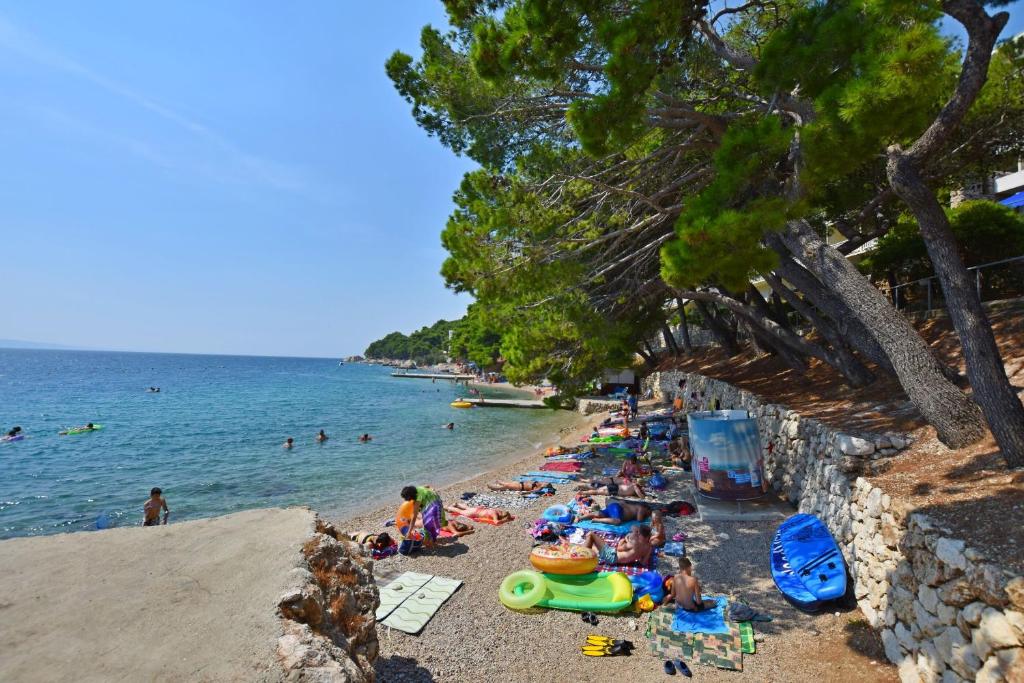 Príroda v okolí apartmánu