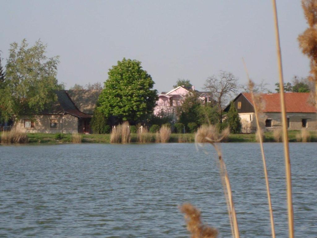 uma vista para um lago com casas ao fundo em Vila Madams - Palić em Palić