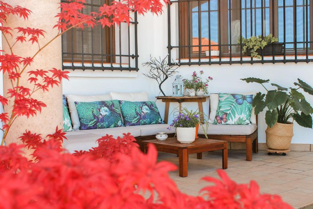 a patio with two couches and a table with plants at Insula Barataria in Belmonte