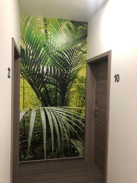 Hotel LACIN - Resim 38