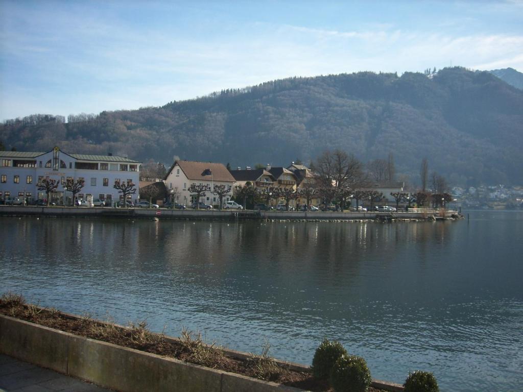 a large body of water with houses and a mountain at Garconniere im ehemaligen Hotel Austria in Gmunden