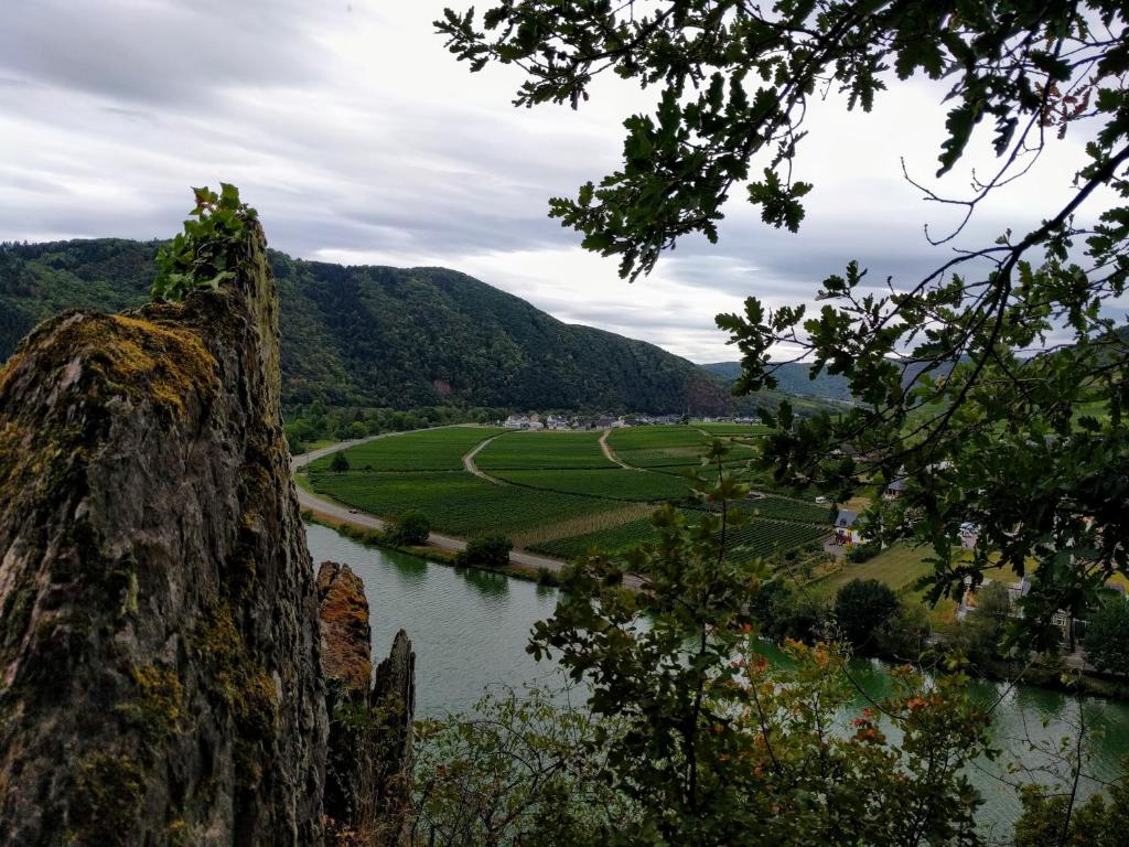 vista su un fiume con montagne sullo sfondo di Weingut Pension Hammes-Krüger a Ellenz-Poltersdorf